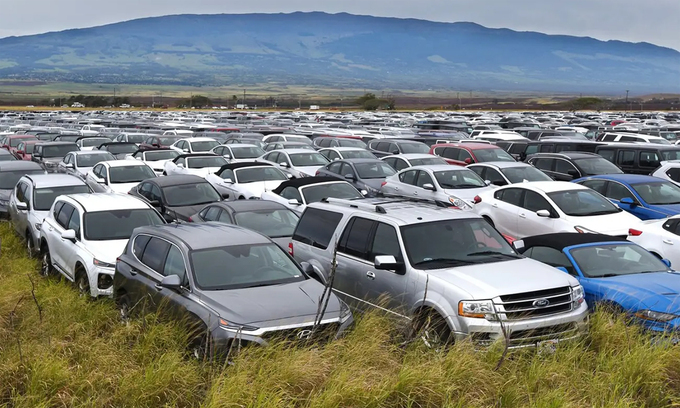 Hàng nghìn ô tô cho thuê bỏ hoang ở đảo Maui, bang Hawaii vì không có khách. Ảnh: Maui News